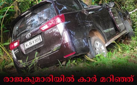 രാജകുമാരിയില് കാര് മറിഞ്ഞ് ഒരാള് മരിച്ചു: 4 പേര്ക്ക് പരിക്ക്