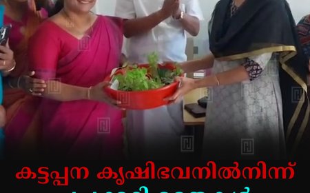 കട്ടപ്പന കൃഷിഭവനില്‍നിന്ന് പച്ചക്കറി തൈകള്‍ വിതരണം ചെയ്തു