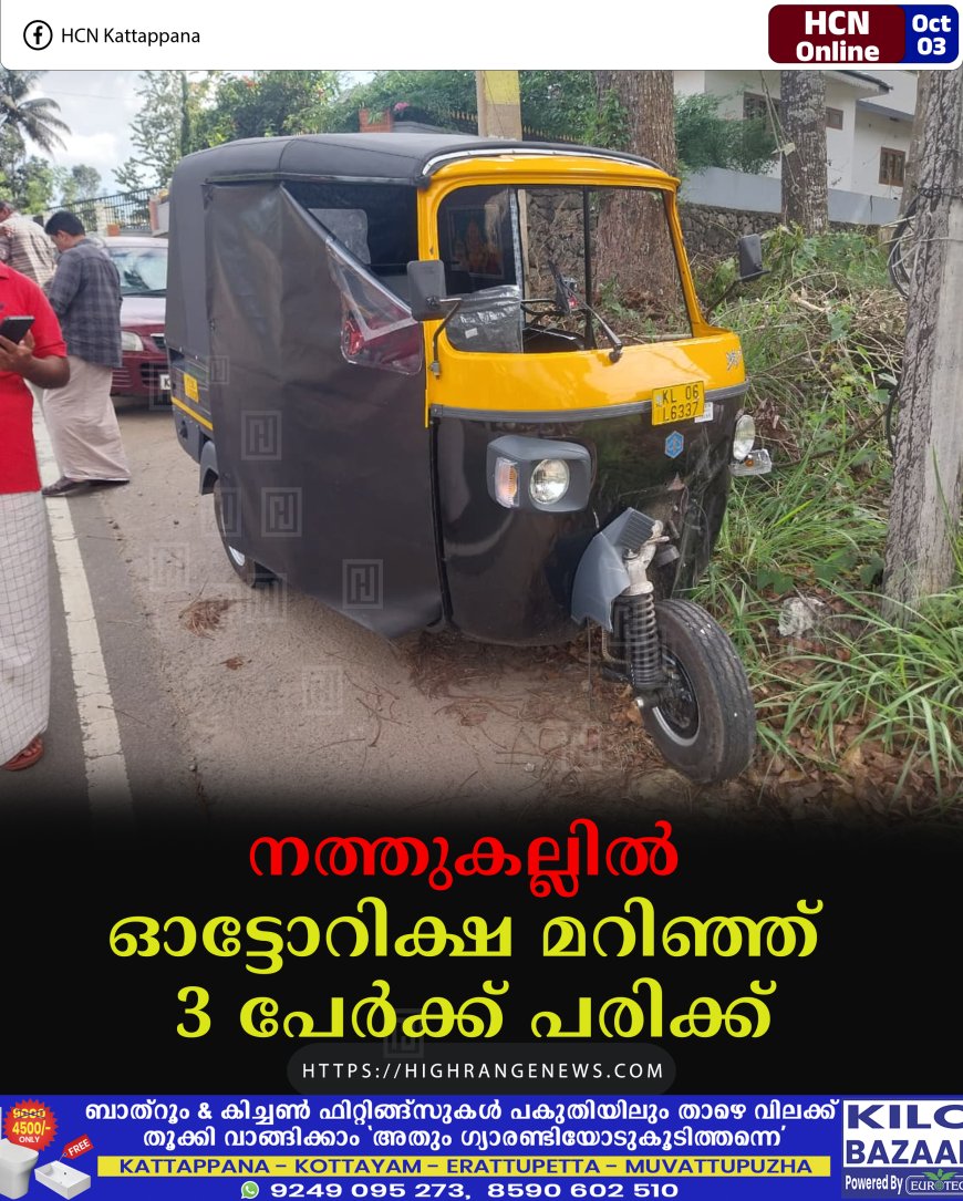 നത്തുകല്ലില്‍ ഓട്ടോറിക്ഷ മറിഞ്ഞ് 3 പേര്‍ക്ക് പരിക്ക്