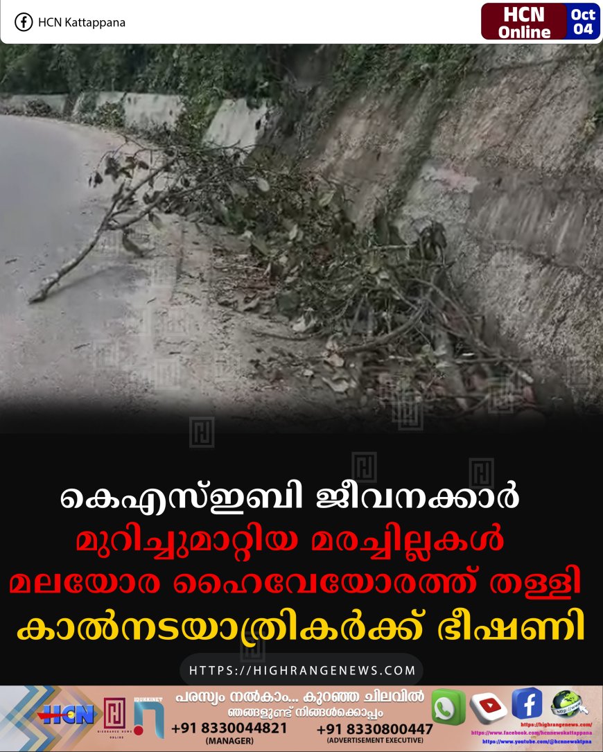 കെഎസ്ഇബി ജീവനക്കാര് മുറിച്ചുമാറ്റിയ മരച്ചില്ലകള് മലയോര ഹൈവേയോരത്ത് തള്ളി: കാല്നടയാത്രികര്ക്ക് ഭീഷണി