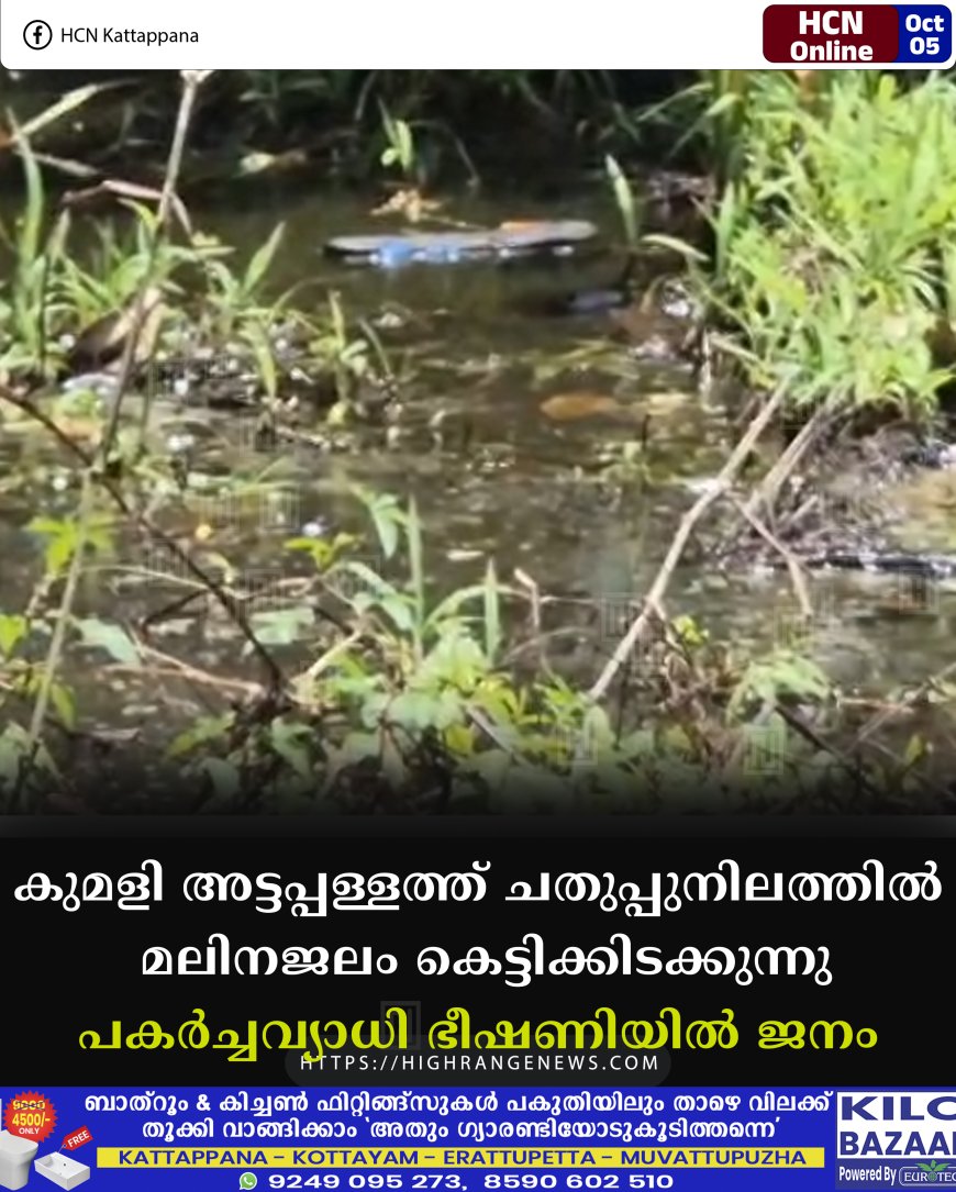 കുമളി അട്ടപ്പള്ളത്ത് ചതുപ്പുനിലത്തില് മലിനജലം കെട്ടിക്കിടക്കുന്നു: പകര്ച്ചവ്യധി ഭീഷണിയില് ജനം