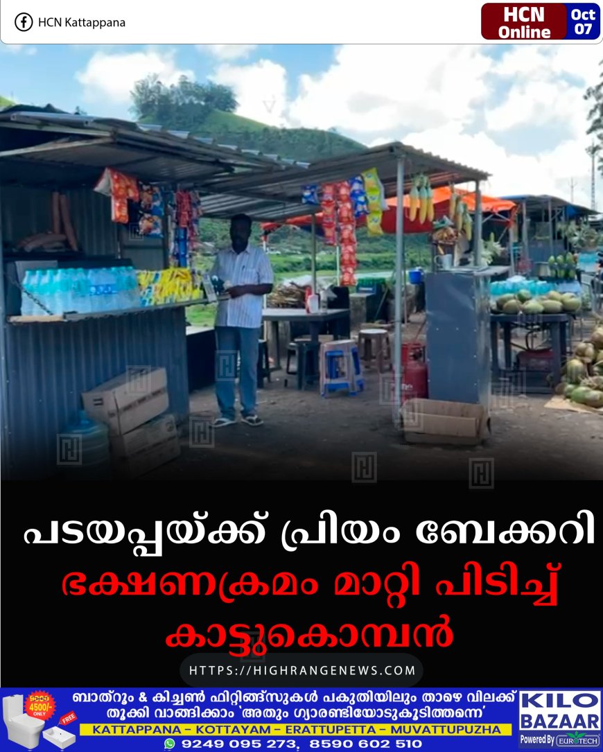പടയപ്പയ്ക്ക് പ്രിയം ബേക്കറി: ഭക്ഷണക്രമം മാറ്റി പിടിച്ച് കാട്ടുകൊമ്പന്