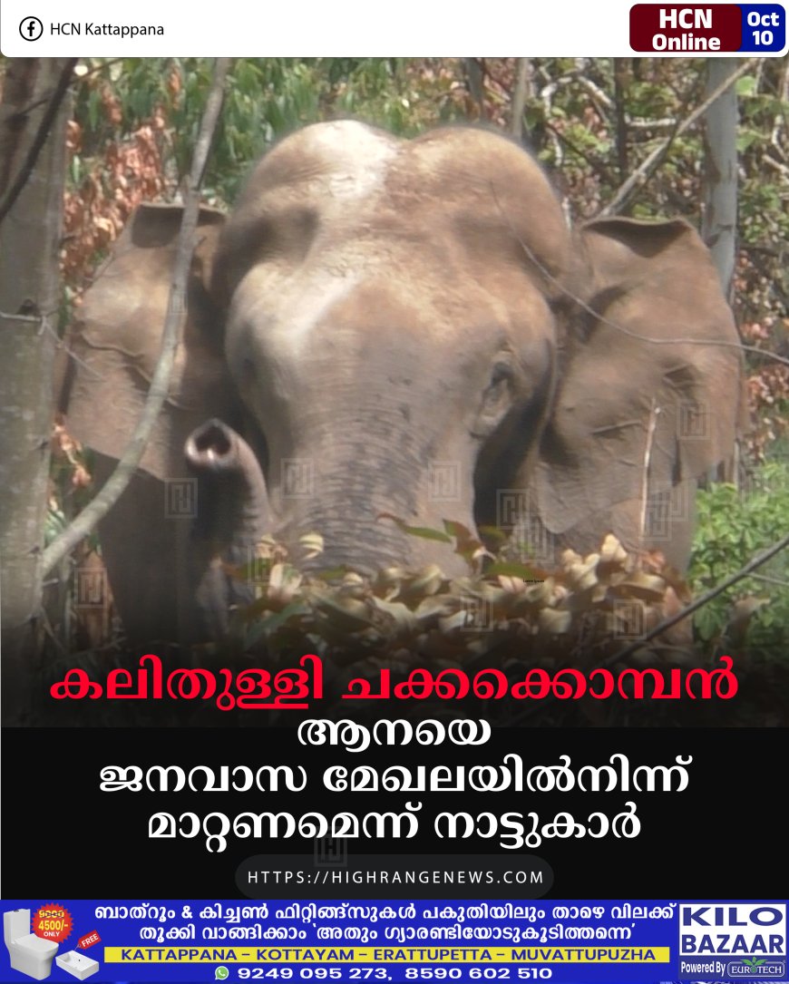 കലിതുള്ളി ചക്കക്കൊമ്പന്: ആനയെ ജനവാസ മേഖലയില്നിന്ന് മാറ്റണമെന്ന് നാട്ടുകാര്