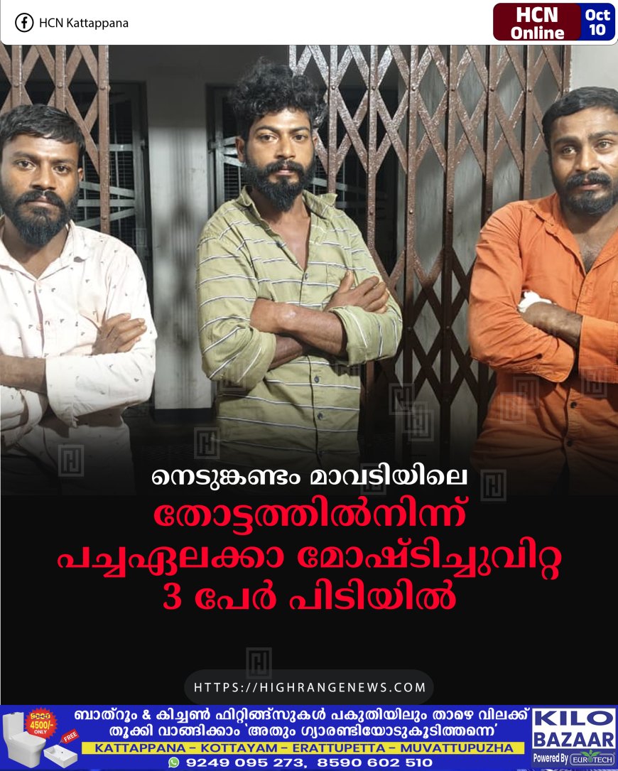 നെടുങ്കണ്ടം മാവടിയിലെ തോട്ടത്തില്നിന്ന് പച്ചഏലക്കാ മോഷ്ടിച്ചുവിറ്റ 3 പേര് പിടിയില്