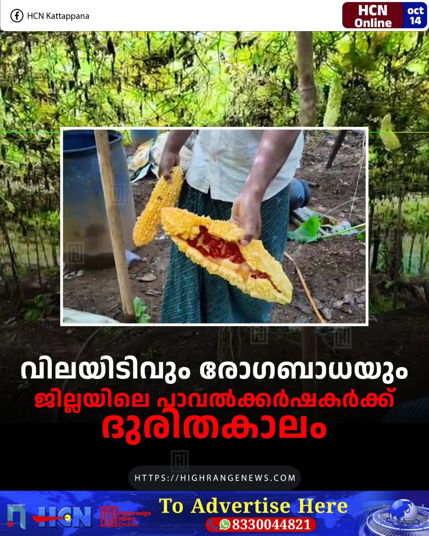 വിലയിടിവും രോഗബാധയും: ജില്ലയിലെ പാവല്ക്കര്ഷകര്ക്ക് ദുരിതകാലം