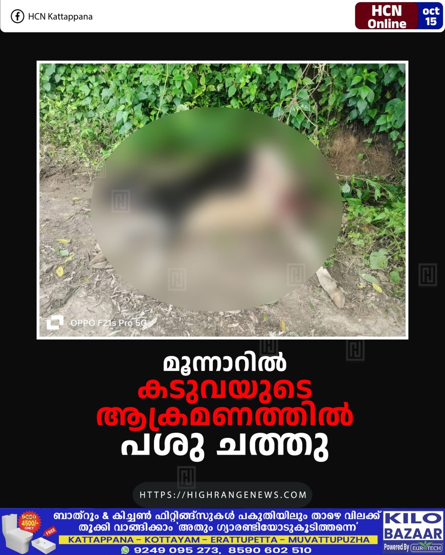 മൂന്നാറില്‍ കടുവയുടെ ആക്രമണത്തില്‍ പശു ചത്തു