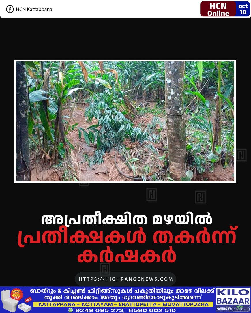 അപ്രതീക്ഷിത മഴയില്‍ പ്രതീക്ഷകള്‍ തകര്‍ന്ന് കര്‍ഷകര്‍