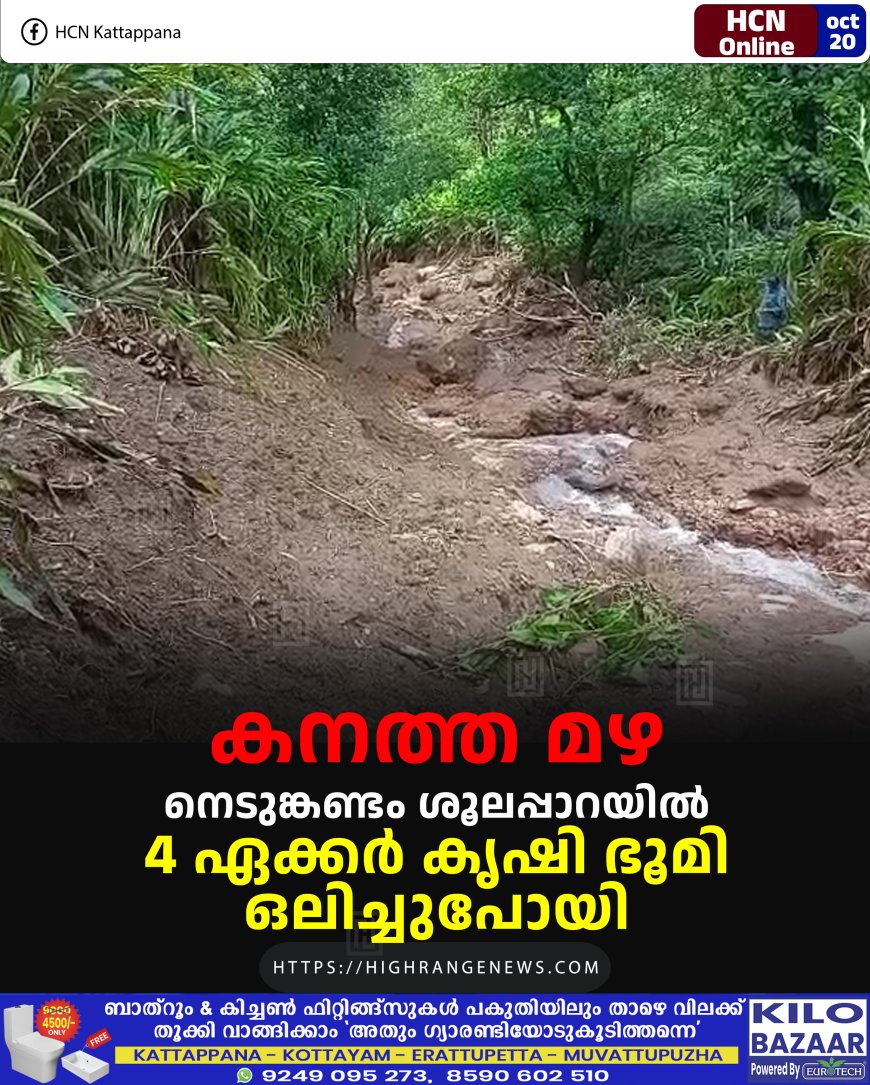 കനത്ത മഴ: നെടുങ്കണ്ടം ശൂലപ്പാറയില് 4 ഏക്കര് കൃഷി ഭൂമി ഒലിച്ചുപോയി