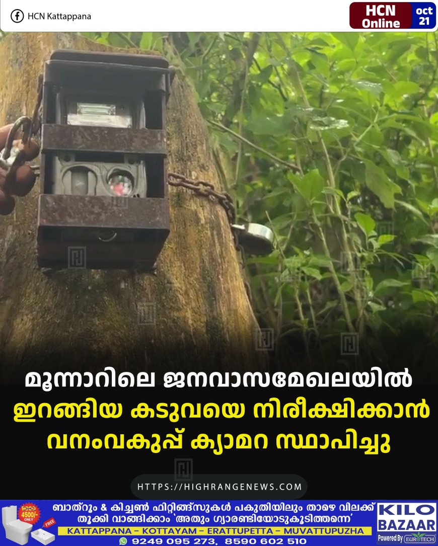 മൂന്നാറിലെ ജനവാസമേഖലയില് ഇറങ്ങിയ കടുവയെ നിരീക്ഷിക്കാന് വനംവകുപ്പ് ക്യാമറ സ്ഥാപിച്ചു