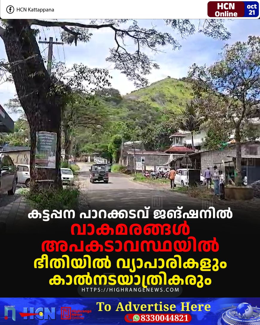 കട്ടപ്പന പാറക്കടവ് ജങ്ഷനില് വാകമരങ്ങള് അപകടാവസ്ഥയില്: ഭീതിയില് വ്യാപാരികളും കാല്നടയാത്രികരും