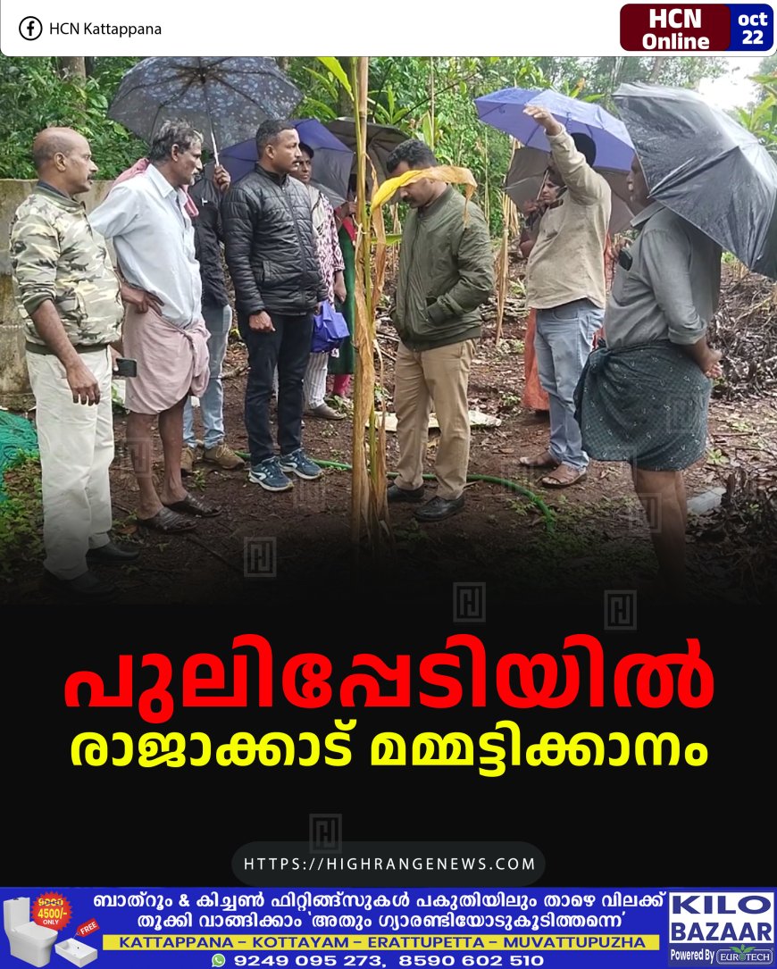 പുലിപ്പേടിയില് രാജാക്കാട് മമ്മട്ടിക്കാനം