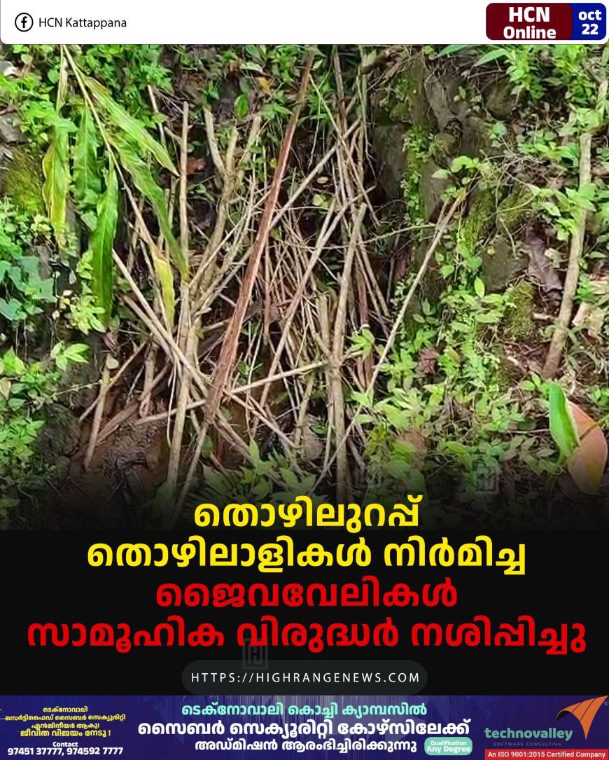 തൊഴിലുറപ്പ് തൊഴിലാളികള് നിര്മിച്ച ജൈവവേലികള് സാമൂഹിക വിരുദ്ധര് നശിപ്പിച്ചു