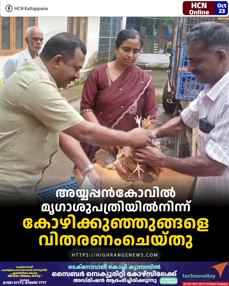 അയ്യപ്പന്കോവില് മൃഗാശുപത്രിയില്നിന്ന് കോഴിക്കുഞ്ഞുങ്ങളെ വിതരണംചെയ്തു