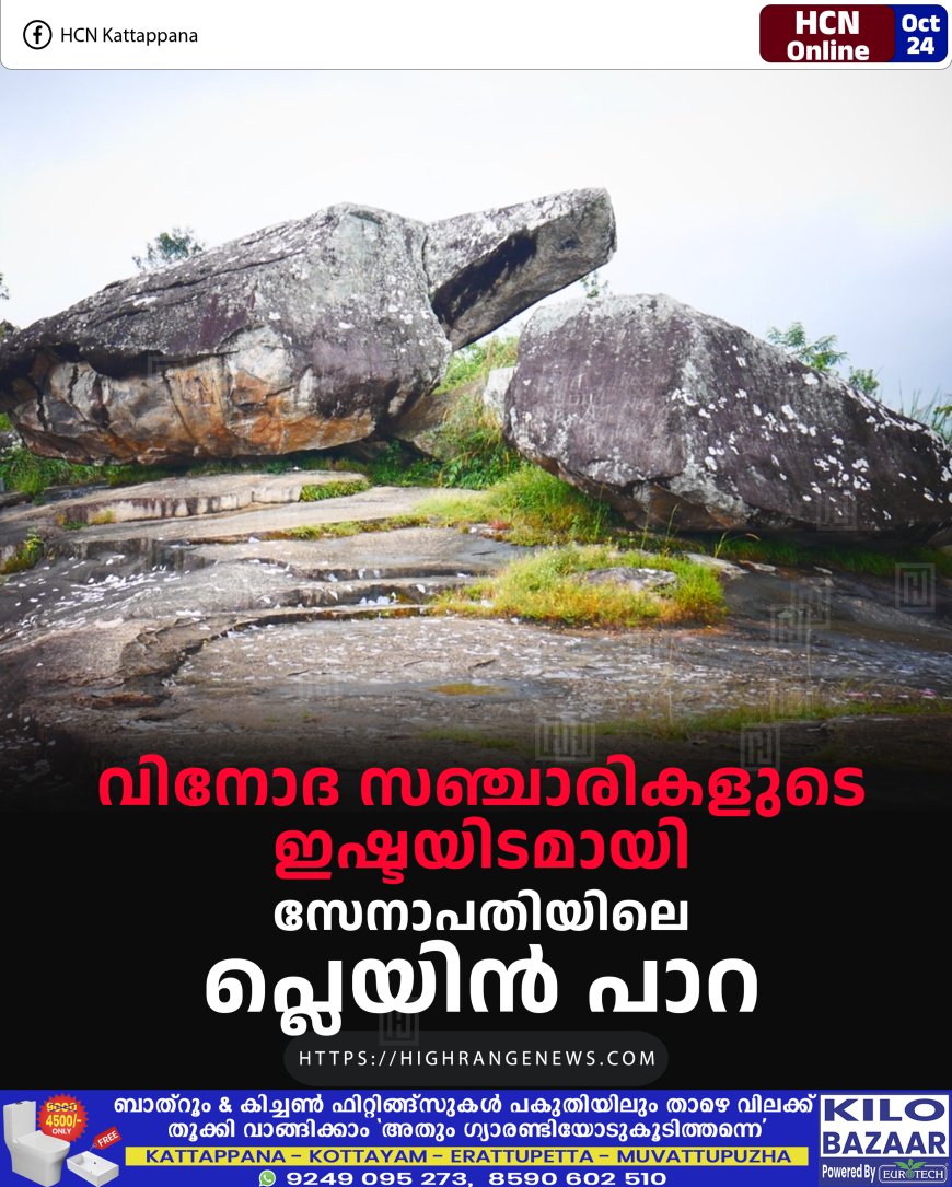 വിനോദ സഞ്ചാരികളുടെ ഇഷ്ടയിടമായി സേനാപതിയിലെ പ്ലെയിന് പാറ