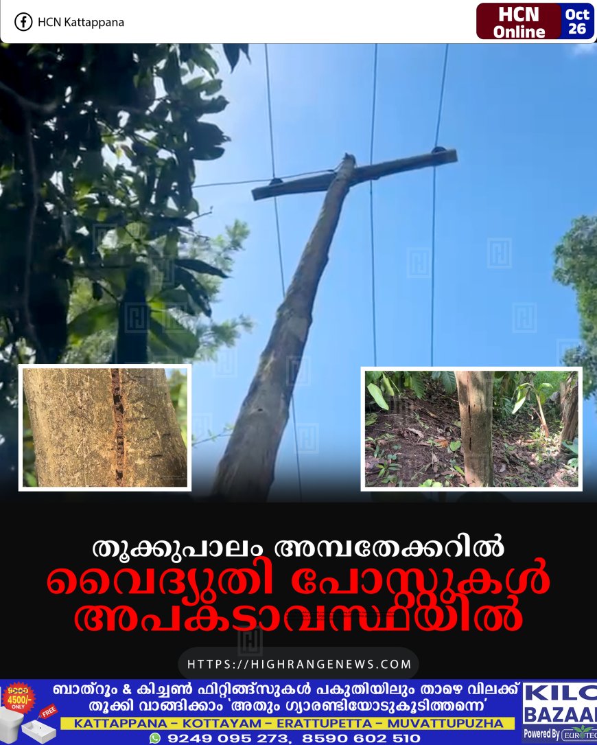 തൂക്കുപാലം അമ്പതേക്കറില് വൈദ്യുതി പോസ്റ്റുകള് അപകടാവസ്ഥയില്