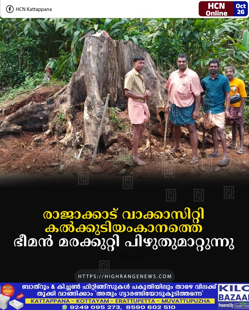 രാജാക്കാട് വാക്കാസിറ്റി കല്ക്കുടിയംകാനത്തെ ഭീമന് മരക്കുറ്റി പിഴുതുമാറ്റുന്നു
