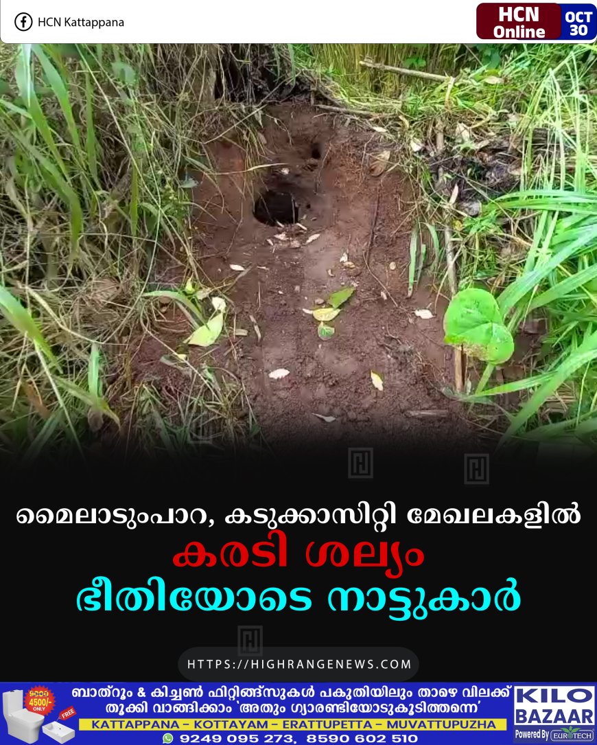 മൈലാടുംപാറ, കടുക്കാസിറ്റി മേഖലകളില്‍ കരടി ശല്യം: ഭീതിയോടെ നാട്ടുകാര്‍