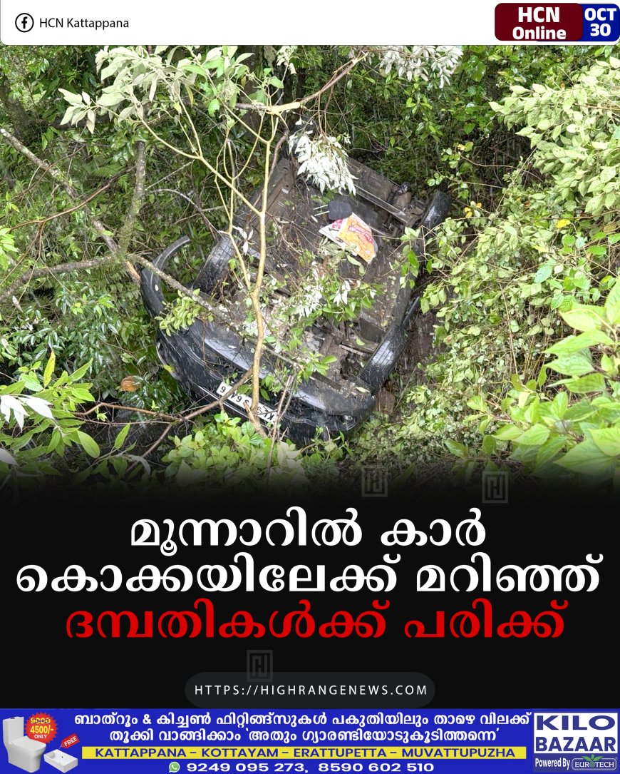 മൂന്നാറില്‍ കാര്‍ കൊക്കയിലേക്ക് മറിഞ്ഞ് ദമ്പതികള്‍ക്ക് പരിക്ക്