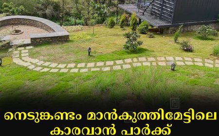 നെടുങ്കണ്ടം മാന്‍കുത്തിമേട്ടിലെ കാരവാന്‍ പാര്‍ക്ക് : ഭൂമിയുടെ പോക്കുവരവ് റദ്ദാക്കാന്‍ നിര്‍ദേശം