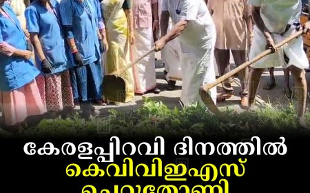 കേരളപ്പിറവി ദിനത്തില്‍ കെവിവിഇഎസ് ചെറുതോണി ടൗണ്‍ ശുചീകരിച്ചു