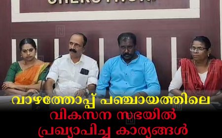 വാഴത്തോപ്പ് പഞ്ചായത്തിലെ വികസന സഭയില്‍ പ്രഖ്യാപിച്ച കാര്യങ്ങള്‍ പാഴ്‌വാക്കാണെന്ന് യുഡിഎഫ് അംഗങ്ങള്‍ 
