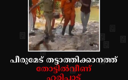 പീരുമേട് തട്ടാത്തിക്കാനത്ത് തോട്ടില്‍വീണ് ഹരിപ്പാട് സ്വദേശി മുങ്ങിമരിച്ചു