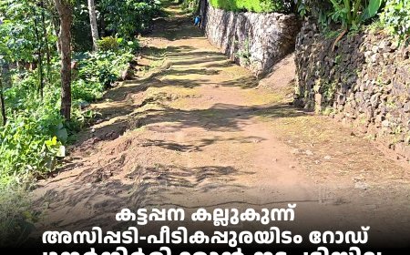 കട്ടപ്പന കല്ലുകുന്ന് അസിപ്പടി-പീടികപ്പുരയിടം റോഡ് പുനര്‍നിര്‍മിക്കാന്‍ നടപടിയില്ല: ദുരിതക്കയത്തില്‍ 30 കുടുംബങ്ങള്‍