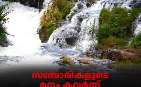 സഞ്ചാരികളുടെ മനം കവര്‍ന്ന് ചിന്നക്കനാല്‍ പാറക്കുഴി വെള്ളച്ചാട്ടം 