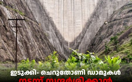 ഇടുക്കി- ചെറുതോണി ഡാമുകള്‍ നടന്ന് സന്ദര്‍ശിക്കാന്‍ അനുമതി