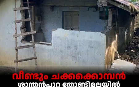 വീണ്ടും ചക്കക്കൊമ്പന്‍: ശാന്തന്‍പാറ തോണ്ടിമലയില്‍ വീട് തകര്‍ത്തു