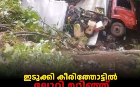ഇടുക്കി കീരിത്തോട്ടിൽ ലോറി മറിഞ്ഞ് ഡ്രൈവർക്ക് പരിക്ക് 