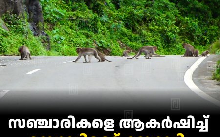 സഞ്ചാരികളെ ആകര്‍ഷിച്ച് ബോഡിമെട്ട്-ബോഡി ചുരം പാത