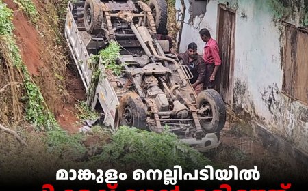 മാങ്കുളം നെല്ലിപടിയില്‍ പിക്കപ്പ് വാന്‍ മറിഞ്ഞ് അപകടം 