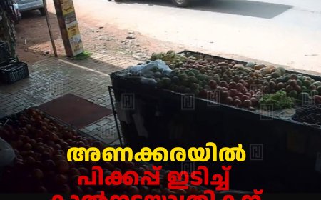 അണക്കരയില്‍ പിക്കപ്പ് ഇടിച്ച് കാല്‍നടയാത്രികന് ഗുരുതര പരിക്ക്