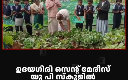 ഉദയഗിരി സെന്റ് മേരീസ് യു പി സ്‌കൂളില്‍ പച്ചക്കറി വിളവെടുപ്പ് നടത്തി 
