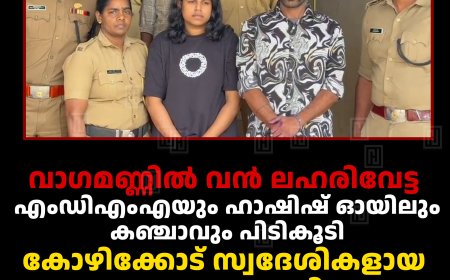 വാഗമണ്ണില്‍ വന്‍ ലഹരിവേട്ട:  എംഡിഎംഎയും ഹാഷിഷ് ഓയിലും കഞ്ചാവും പിടികൂടി: കോഴിക്കോട് സ്വദേശികളായ യുവാവും യുവതിയും അറസ്റ്റില്‍ 