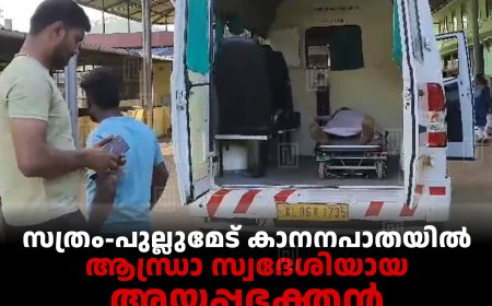 സത്രം-പുല്ലുമേട്  കാനനപാതയില്‍ ആന്ധ്രാ സ്വദേശിയായ അയ്യപ്പഭക്തന്‍ കുഴഞ്ഞുവീണ് മരിച്ചു