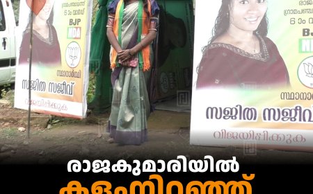 രാജകുമാരിയില്‍ കളംനിറഞ്ഞ് എന്‍ഡിഎ