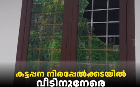 കട്ടപ്പന നിരപ്പേല്‍ക്കടയില്‍ വീടിനുനേരെ സാമൂഹിക വിരുദ്ധ ആക്രമണം