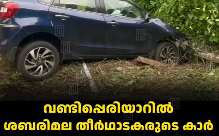 വണ്ടിപ്പെരിയാറില്‍ ശബരിമല തീര്‍ഥാടകരുടെ കാര്‍ വൈദ്യുതി പോസ്റ്റില്‍ ഇടിച്ച് അപകടം