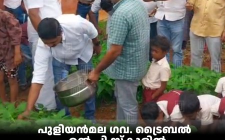 പുളിയന്‍മല ഗവ. ട്രൈബല്‍ എല്‍ പി സ്‌കൂളില്‍ പച്ചക്കറി വിളവെടുപ്പ് നടത്തി 