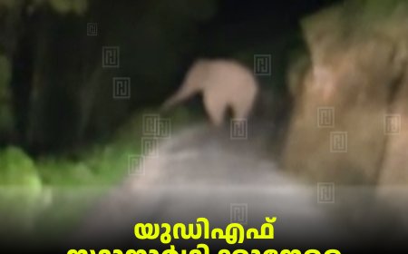 യുഡിഎഫ് സ്ഥാനാര്‍ഥിക്കുനേരെ പാഞ്ഞടുത്ത് കാട്ടാന