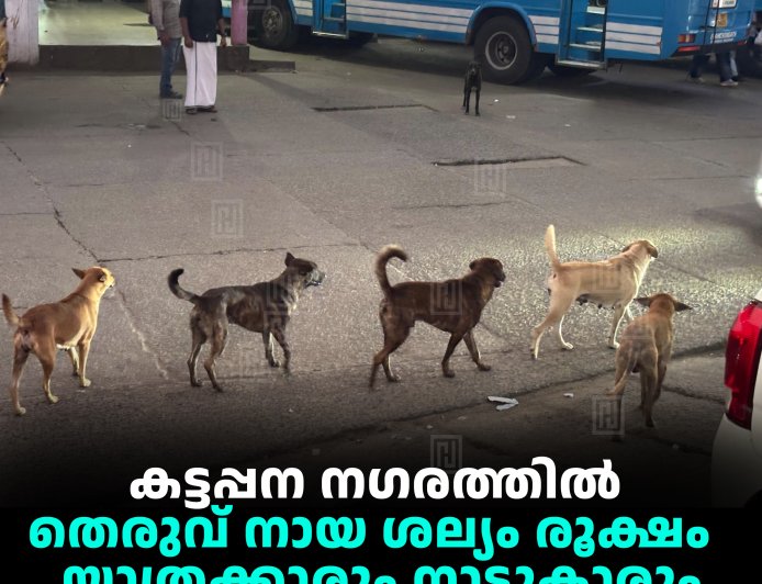 കട്ടപ്പന നഗരത്തില്‍ തെരുവ് നായ ശല്യം രൂക്ഷം  : യാത്രക്കാരും നാട്ടുകാരും ഭീതിയില്‍ 