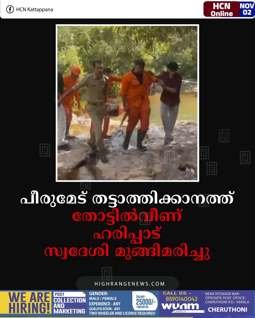 പീരുമേട് തട്ടാത്തിക്കാനത്ത് തോട്ടില്‍വീണ് ഹരിപ്പാട് സ്വദേശി മുങ്ങിമരിച്ചു
