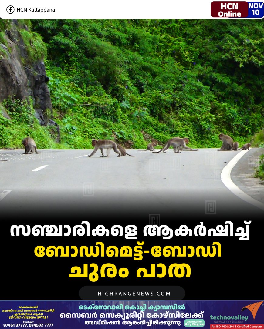 സഞ്ചാരികളെ ആകര്‍ഷിച്ച് ബോഡിമെട്ട്-ബോഡി ചുരം പാത