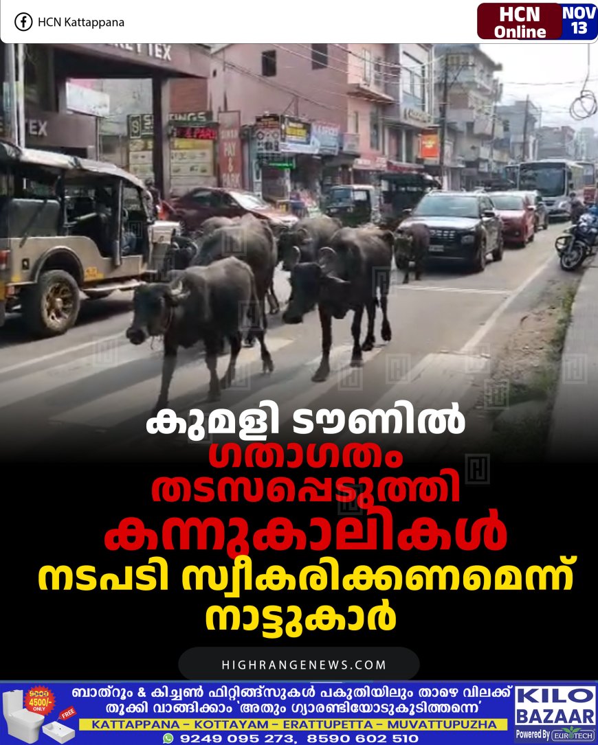 കുമളി ടൗണില്‍ ഗതാഗതം തടസപ്പെടുത്തി കന്നുകാലികള്‍: നടപടി സ്വീകരിക്കണമെന്ന് നാട്ടുകാര്‍ 