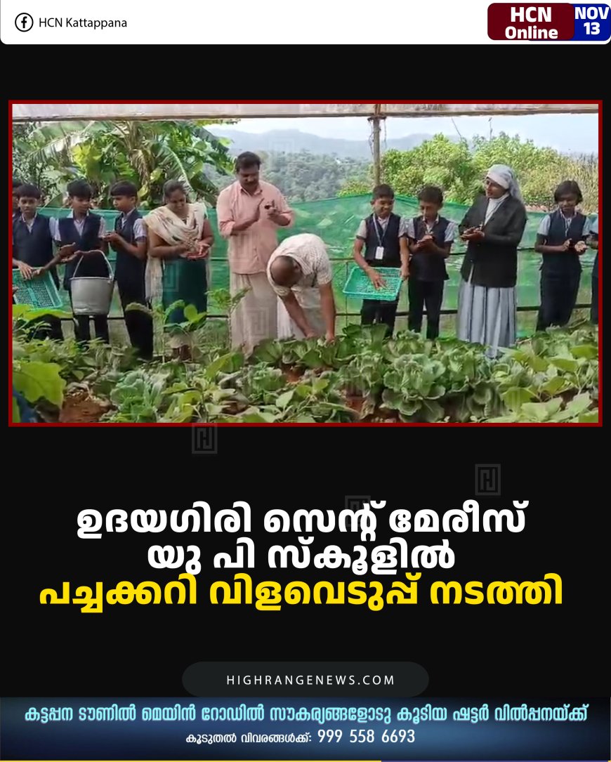 ഉദയഗിരി സെന്റ് മേരീസ് യു പി സ്‌കൂളില്‍ പച്ചക്കറി വിളവെടുപ്പ് നടത്തി 