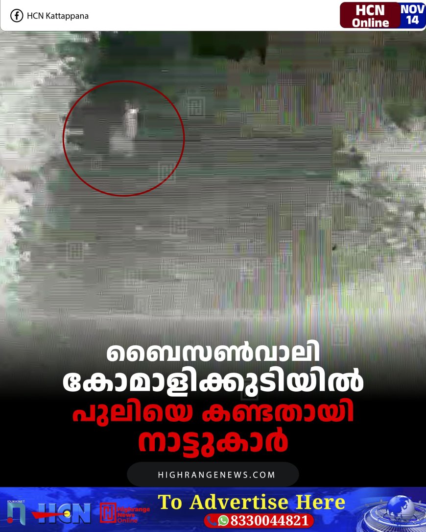 ബൈസണ്‍വാലി കോമാളിക്കുടിയില്‍ പുലിയെ കണ്ടതായി നാട്ടുകാര്‍