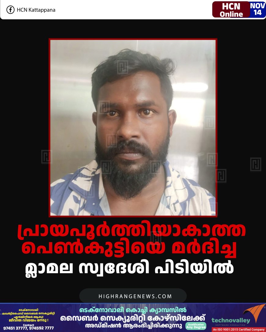 പ്രായപൂർത്തിയാകാത്ത പെൺകുട്ടിയെ  മർദിച്ച മ്ലാമല സ്വദേശി പിടിയിൽ 