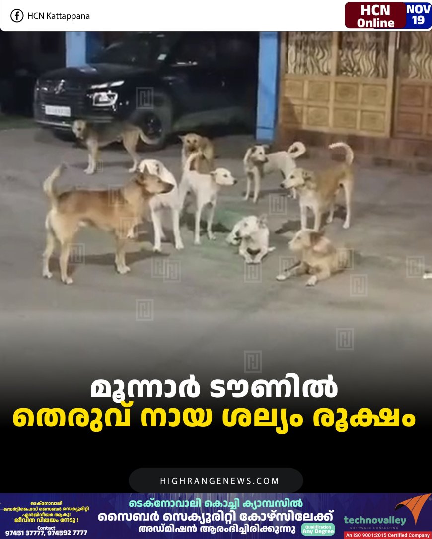 മൂന്നാര്‍ ടൗണില്‍ തെരുവ് നായ ശല്യം രൂക്ഷം 